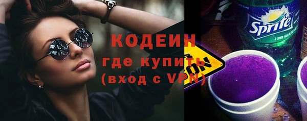 прущие грибы Арсеньев