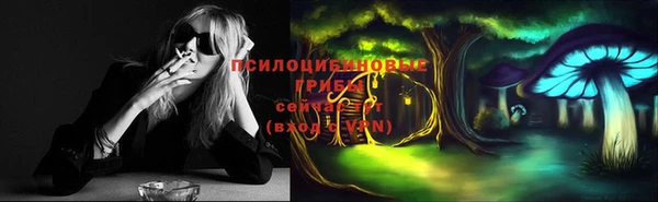 прущие грибы Арсеньев